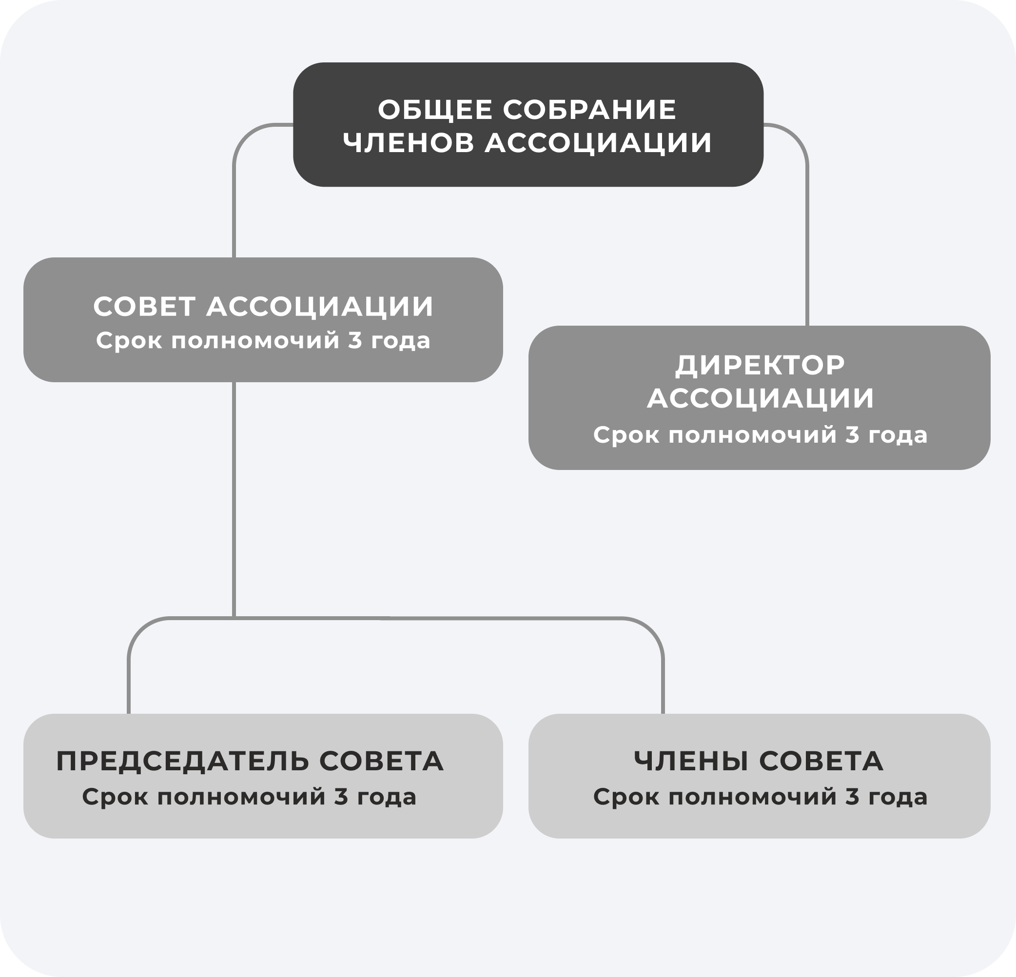 Схема органов управления Ассоциации